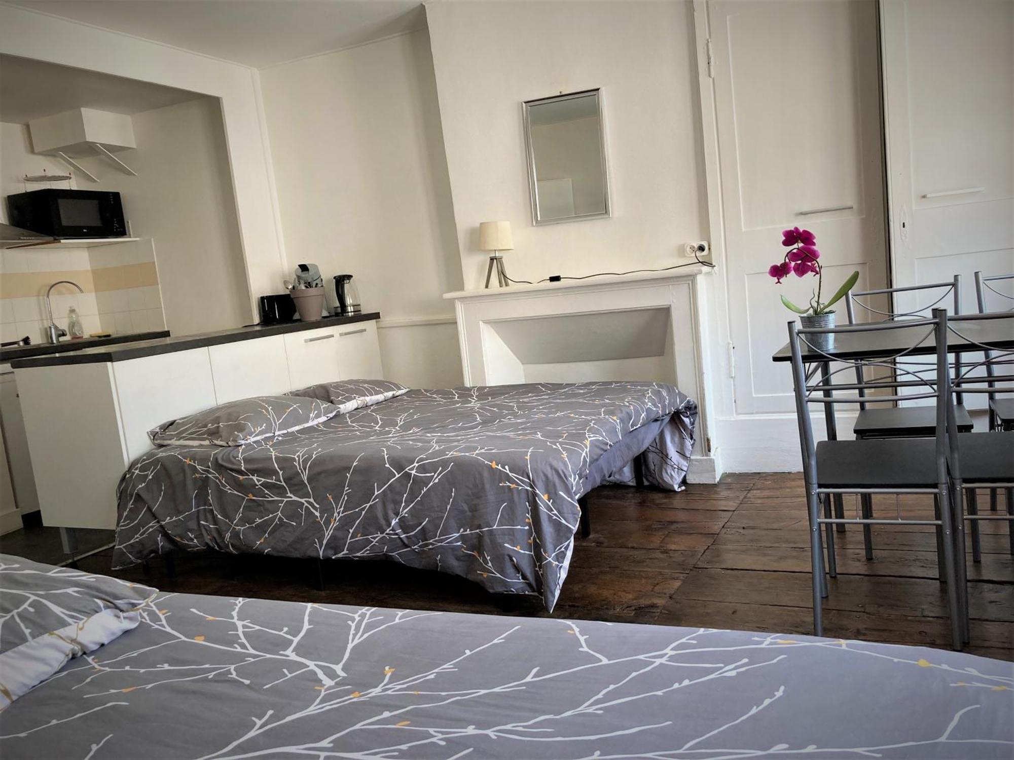 Studio Double 31 Centre De Limoges Wifi Екстер'єр фото