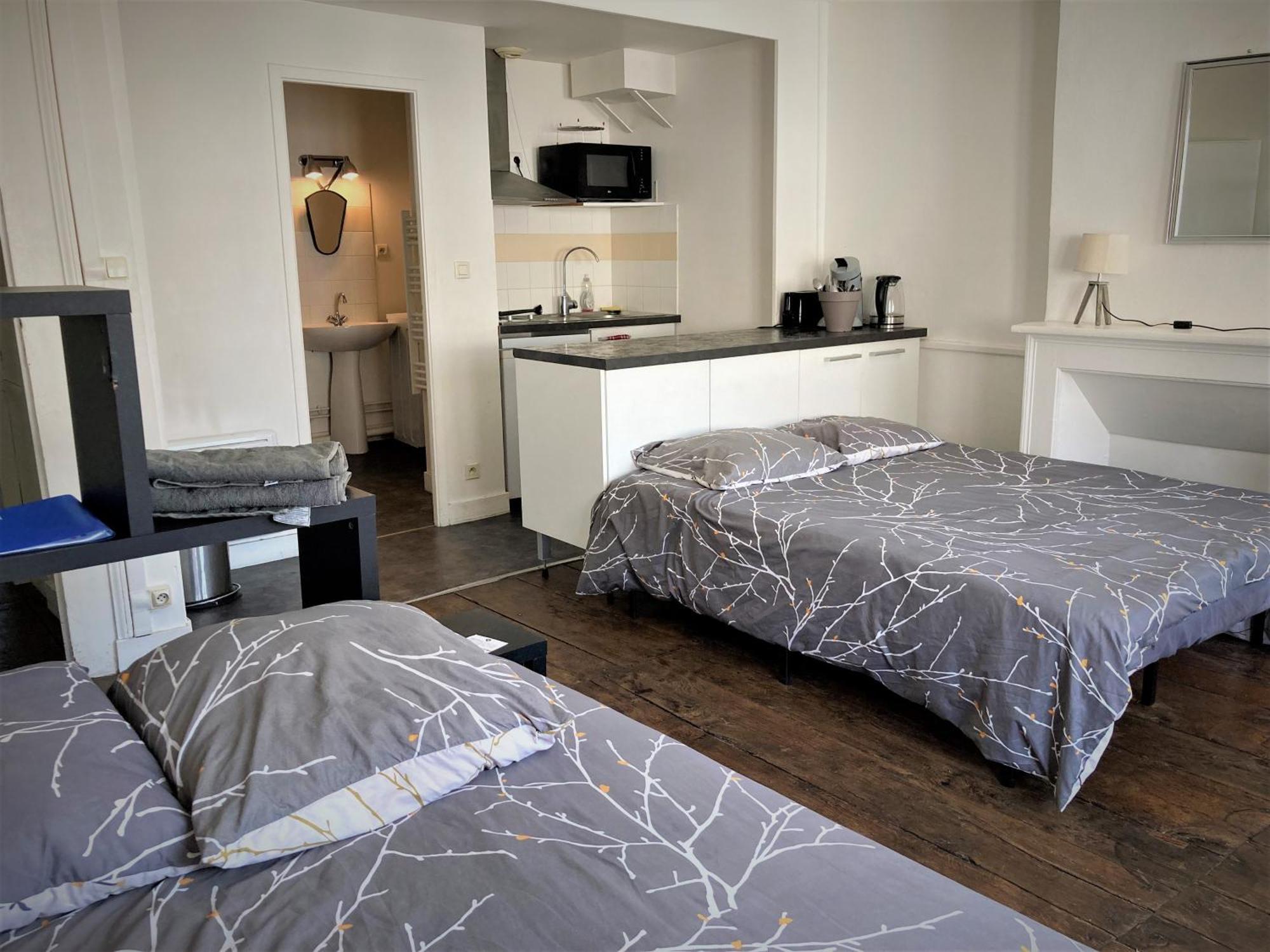 Studio Double 31 Centre De Limoges Wifi Екстер'єр фото